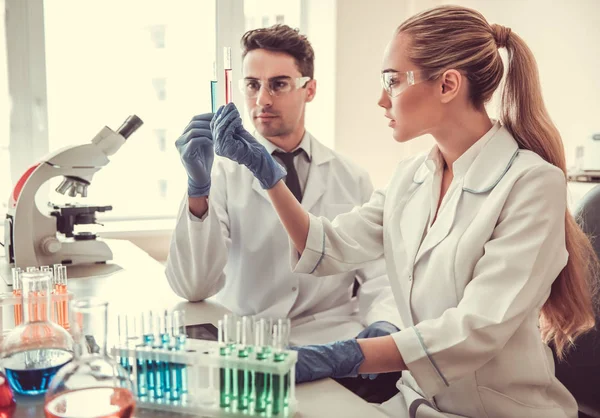 At the laboratory — Stock Photo, Image