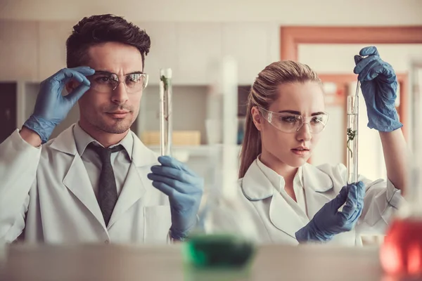 At the laboratory — Stock Photo, Image