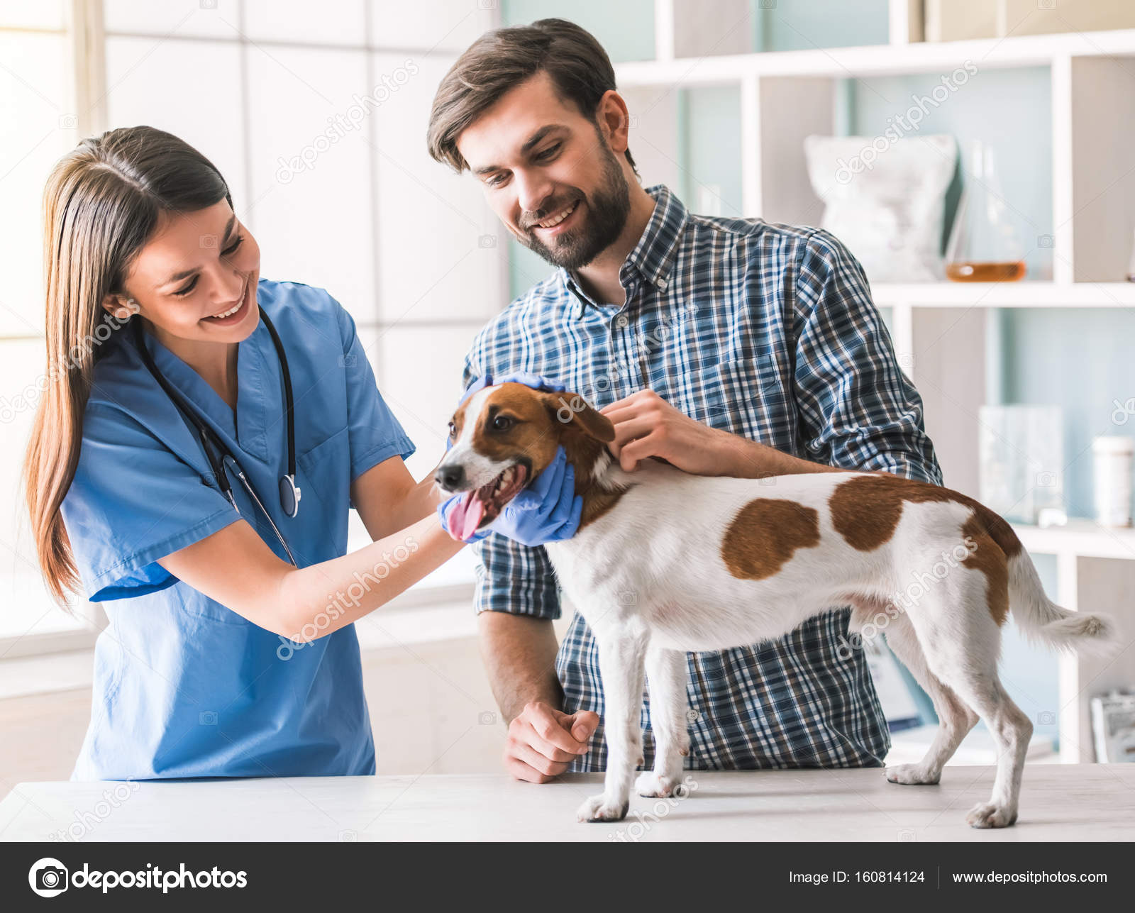 The Nearest Veterinarian lupon.gov.ph