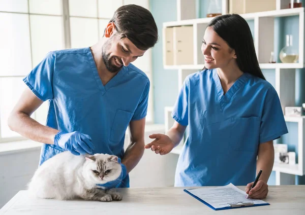 På veterinären — Stockfoto