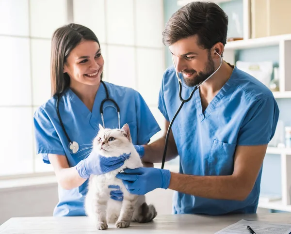 På veterinären — Stockfoto