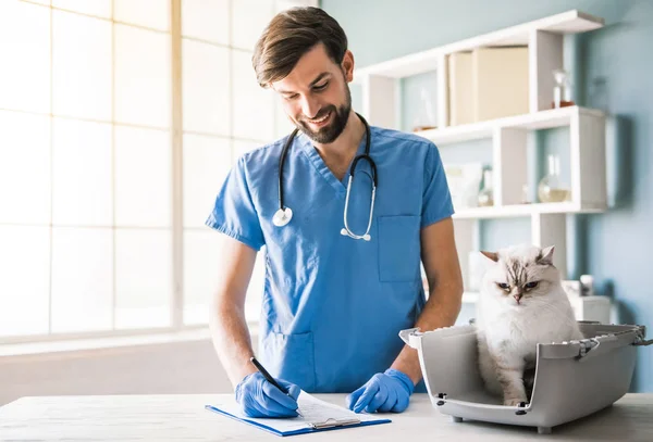 På veterinären — Stockfoto