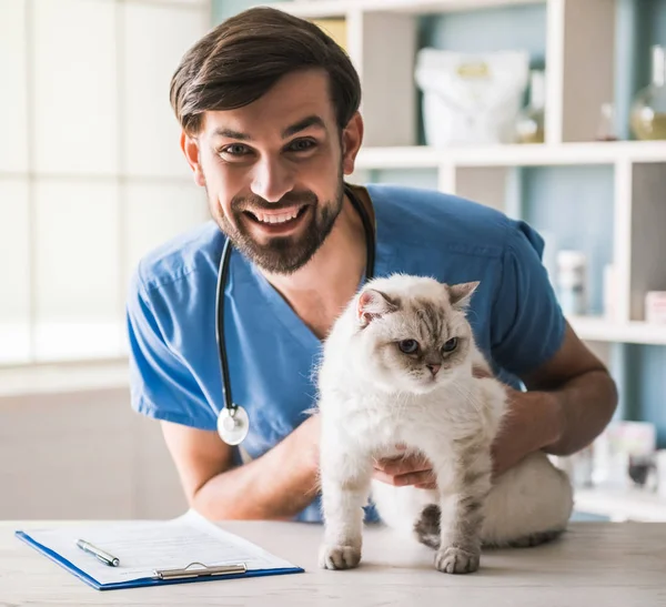 Dal veterinario — Foto Stock