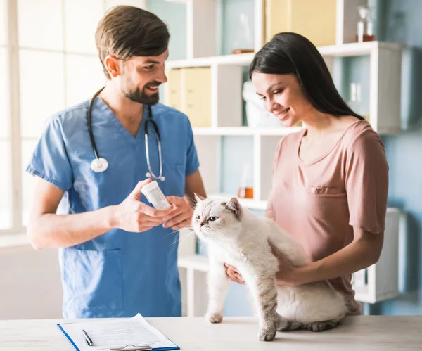 Dal veterinario — Foto Stock