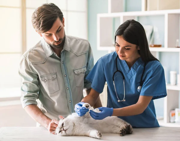 På veterinären — Stockfoto