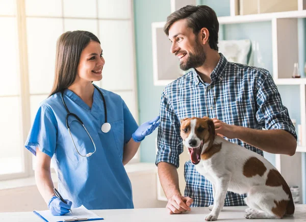 Bij de dierenarts — Stockfoto