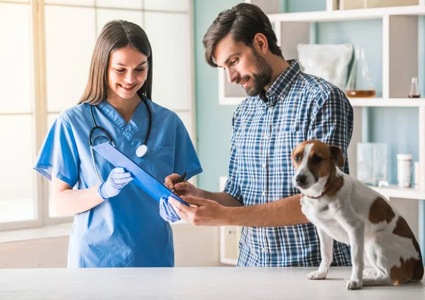 Dal veterinario — Foto Stock