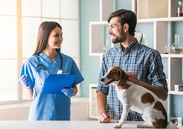 Bij de dierenarts — Stockfoto