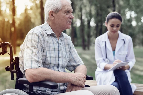 Un anciano en silla de ruedas junto a una doctora en un parque de verano —  Fotos de Stock