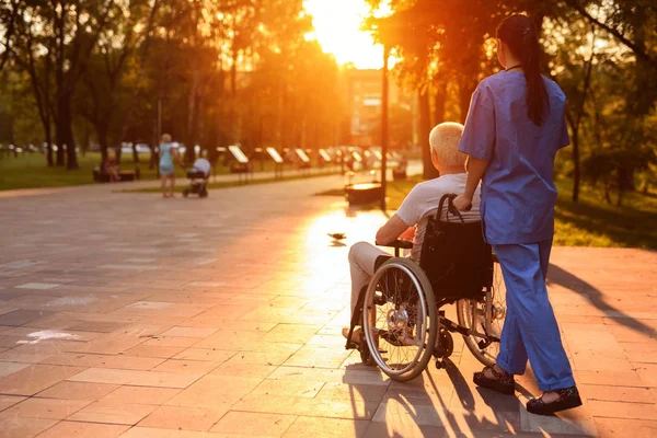 Uma enfermeira e um velho que se senta numa cadeira de rodas a passear no parque ao pôr-do-sol — Fotografia de Stock