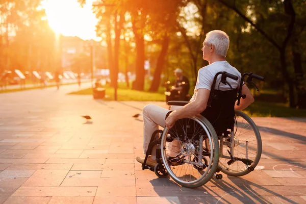 Un anciano está sentado en una silla de ruedas y mirando el atardecer en el parque —  Fotos de Stock