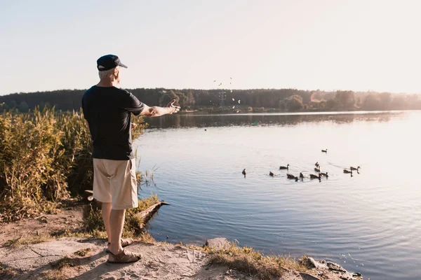 Východ slunce. Starý muž krmí kachny na břehu řeky, stojí zády k fotoaparátu. — Stock fotografie