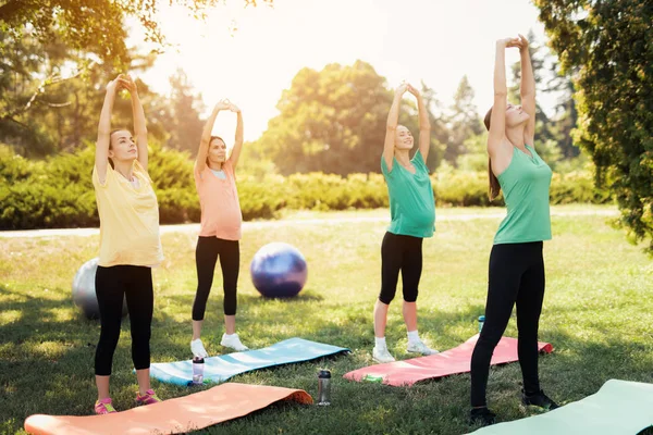 Беременная йога. Три беременные женщины стоят в парке и делают упражнения. Вместе с ними их тренер — стоковое фото