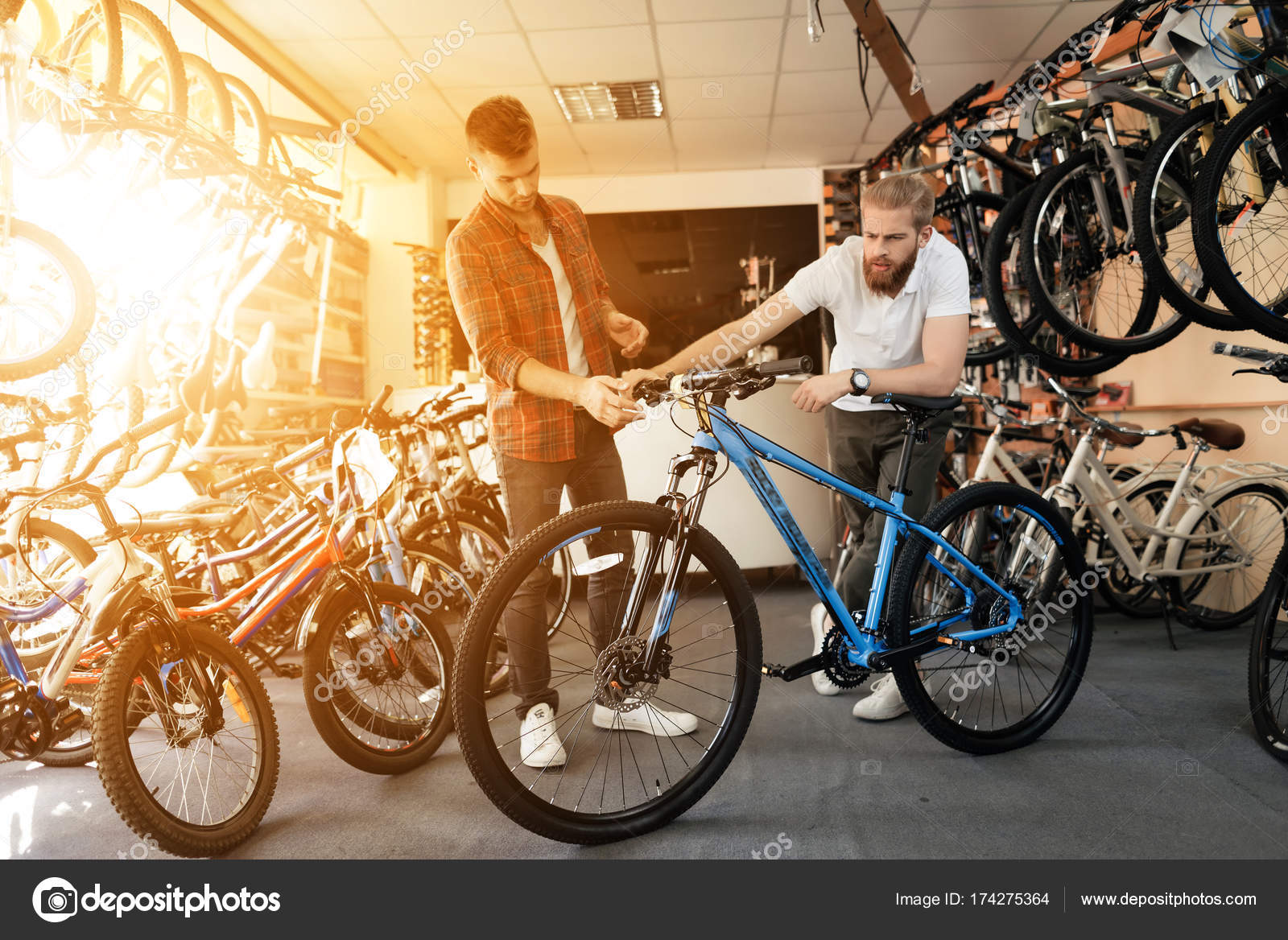 the bicycle store