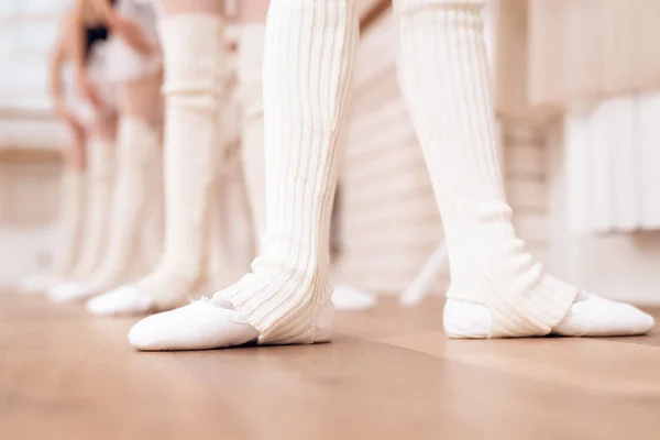 Nogi młodych ballerinas. — Zdjęcie stockowe