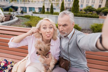 Yaşlı bir çift güzel bir kare selfie yapar. Bir kadın bir küçük köpek onun elinde tutuyor