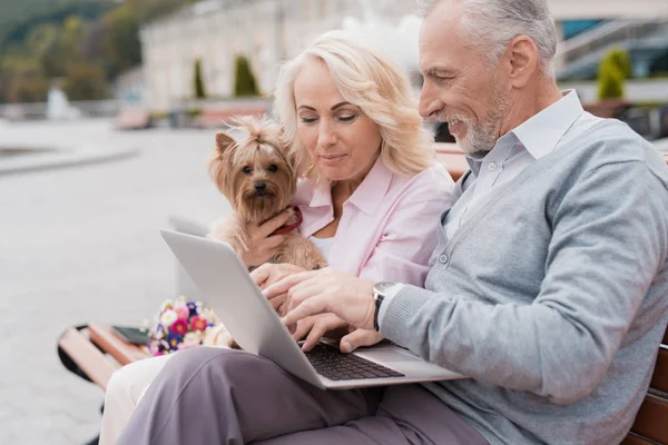 Una pareja de ancianos descansa sentada en un banco en la plaza. Tienen un perro y un portátil . — Foto de Stock