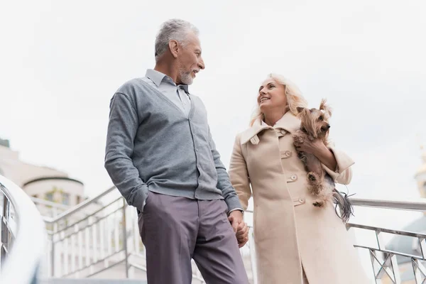 Una pareja de ancianos está caminando. Bajan las escaleras. Una mujer tiene un perro en sus manos — Foto de Stock