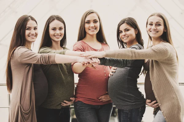 Portrait of five happy, friendly pregnant women are looking at the camera — Stock Photo, Image