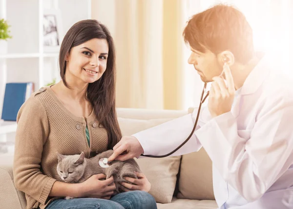 Veterinario medico sta facendo un controllo di un bel gatto carino — Foto Stock