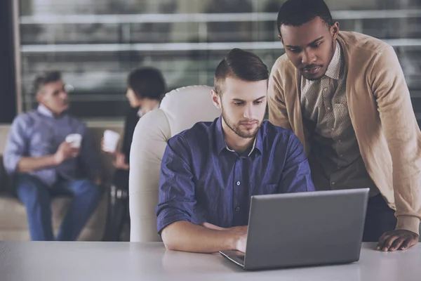 Two young businessmen discussing a new project on laptop in office — Stock Photo, Image