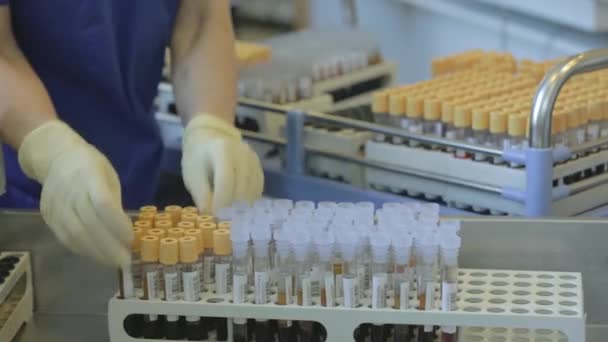 Laboratory analysis of blood. — Stock Video