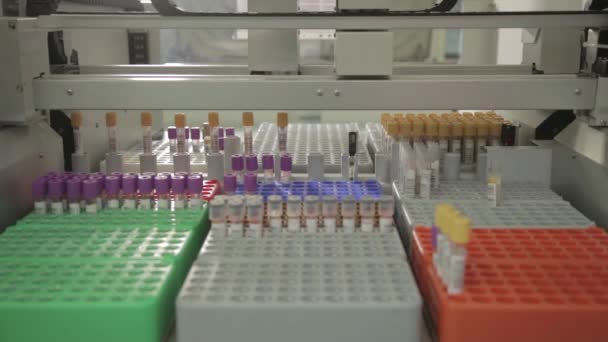 Laboratory analysis of blood. — Stock Video