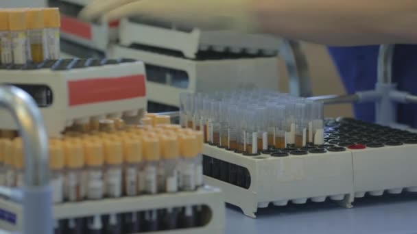 Laboratoriumanalyse van bloed. — Stockvideo