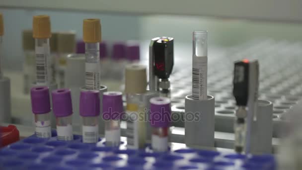 Analyse en laboratoire du sang . — Video