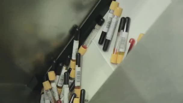 Análisis de laboratorio de la sangre . — Vídeo de stock