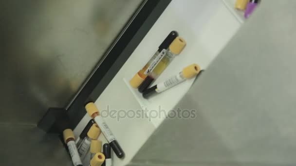 Analisi di laboratorio del sangue . — Video Stock