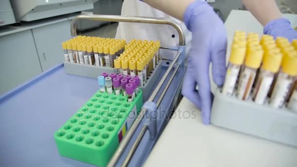 Analyse en laboratoire du sang . — Video