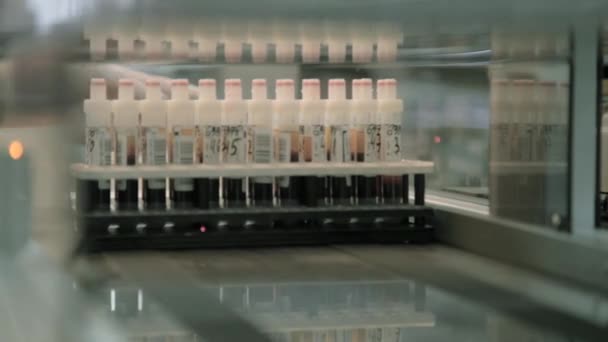 Лабораторный анализ крови . — стоковое видео