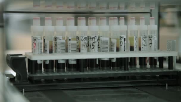 Laboratory analysis of blood. — Stock Video