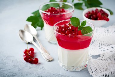 Panna cotta vintage glasswith Frenk üzümü jöle ile nane yaprakları ve gri taş veya beton arka plan üzerinde meyveleri. Geleneksel İtalyan tatlı.