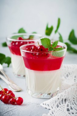 Panna cotta vintage glasswith Frenk üzümü jöle ile nane yaprakları ve gri taş veya beton arka plan üzerinde meyveleri. Geleneksel İtalyan tatlı.