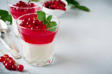 Panna cotta vintage glasswith Frenk üzümü jöle ile nane yaprakları ve gri taş veya beton arka plan üzerinde meyveleri. Geleneksel İtalyan tatlı.