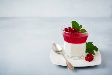 Panna cotta vintage glasswith Frenk üzümü jöle ile nane yaprakları ve gri taş veya beton arka plan üzerinde meyveleri. Geleneksel İtalyan tatlı.