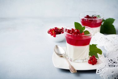 Panna cotta vintage glasswith Frenk üzümü jöle ile nane yaprakları ve gri taş veya beton arka plan üzerinde meyveleri. Geleneksel İtalyan tatlı.