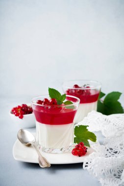 Panna cotta vintage glasswith Frenk üzümü jöle ile nane yaprakları ve gri taş veya beton arka plan üzerinde meyveleri. Geleneksel İtalyan tatlı.
