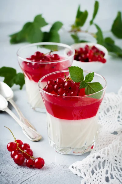 Panna cotta with red currant jelly in vintage glasswith leaves of mint and berries on gray stone or concrete background. Traditional Italian dessert. — Stock Photo, Image