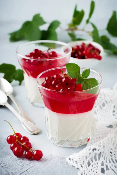 Panna cotta vintage glasswith Frenk üzümü jöle ile nane yaprakları ve gri taş veya beton arka plan üzerinde meyveleri. Geleneksel İtalyan tatlı.