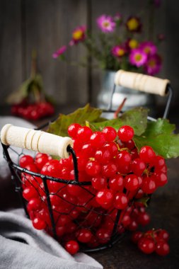 Kartopu taze meyveler. Seçici odak. Rustik tarzı.