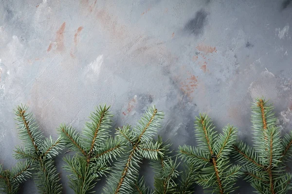 Kerstmis Nieuwjaar Achtergrond Grote Tak Van Fit Boom Met Kegels — Stockfoto