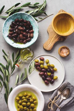 Eski, gri bir masa beton arka planında farklı seramik tabaklarda çeşitli taze zeytin çeşitleri. Doğal ürün konsepti. Kırsal kesim çatal bıçak takımı. Üst görünüm, alanı kopyala.