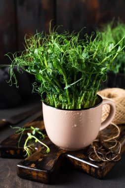 Microgreen pea sprouts on old wooden table. Vintage style. Vegan and healthy eating concept.  Growing sprouts. Selective focus. clipart