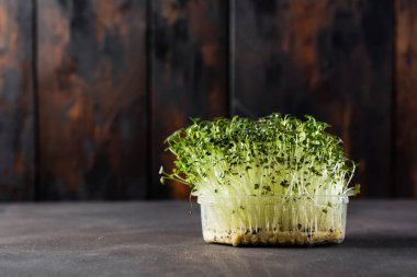 Eski ahşap masada mikroyeşil bezelye filizleri. Eski tarz. Vejetaryen ve sağlıklı beslenme konsepti. Yeşilleniyorlar. Seçici odak.