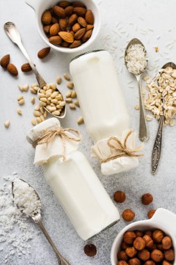Ev yapımı diyet sebze sütü ve badem, kıvırcık, fındık ezmesi, yulaf ezmesi, pirinç ve gri arka planda hindistan cevizi. Diyet sağlıklı konsept. Üst görünüm.