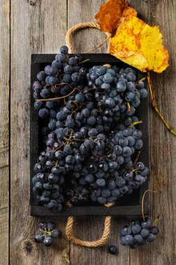 Eski ahşap arka planda kara kutuda ev yapımı üzümler. Eski tarz. Üst görünüm.