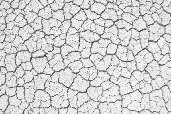 Soil Drought Cracks Texture White Background Design — Stock Photo, Image